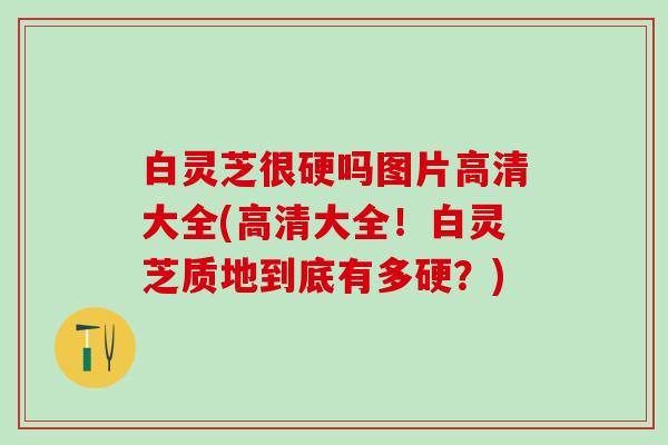 白灵芝很硬吗图片高清大全(高清大全！白灵芝质地到底有多硬？)