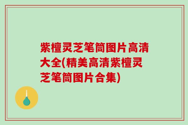 紫檀灵芝笔筒图片高清大全(精美高清紫檀灵芝笔筒图片合集)