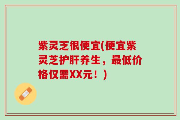 紫灵芝很便宜(便宜紫灵芝护肝养生，最低价格仅需XX元！)