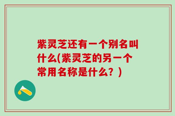 紫灵芝还有一个别名叫什么(紫灵芝的另一个常用名称是什么？)