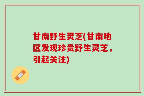 甘南野生灵芝(甘南地区发现珍贵野生灵芝,引起关注) 甘南野生灵芝(甘南地区发现珍贵野生灵芝,引起关注)