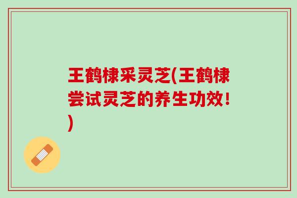 王鹤棣采灵芝(王鹤棣尝试灵芝的养生功效！)