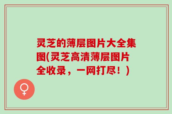 灵芝的薄层图片大全集图(灵芝高清薄层图片全收录,一网打尽!) 灵芝的薄层图片大全集图(灵芝高清薄层图片全收录,一网打尽!)