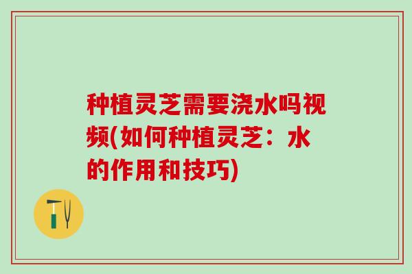 种植灵芝需要浇水吗视频(如何种植灵芝:水的作用和技巧) 种植灵芝需要浇水吗视频(如何种植灵芝:水的作用和技巧)
