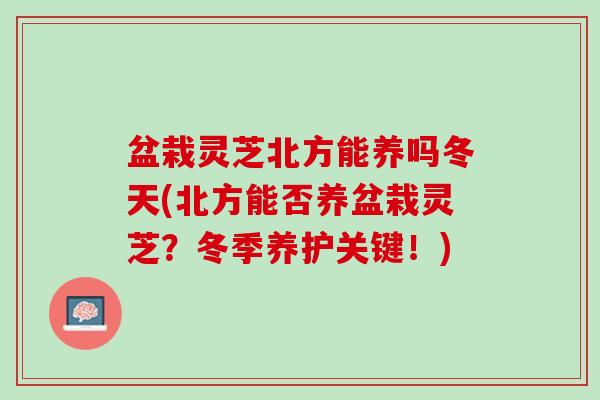 盆栽灵芝北方能养吗冬天(北方能否养盆栽灵芝？冬季养护关键！)