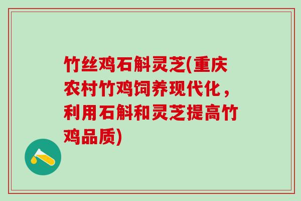竹丝鸡石斛灵芝(重庆农村竹鸡饲养现代化，利用石斛和灵芝提高竹鸡品质)