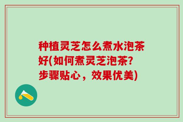 种植灵芝怎么煮水泡茶好(如何煮灵芝泡茶？步骤贴心，效果优美)
