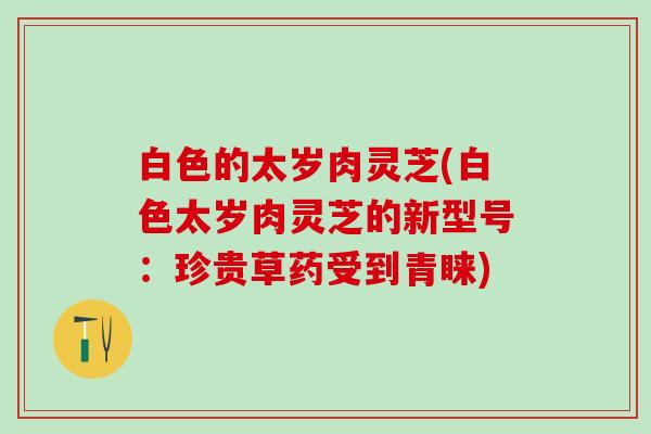 白色的太岁肉灵芝(白色太岁肉灵芝的新型号：珍贵草药受到青睐)