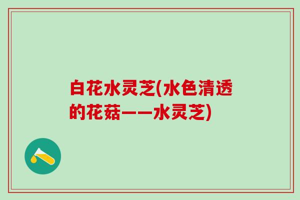 白花水灵芝(水色清透的花菇——水灵芝)