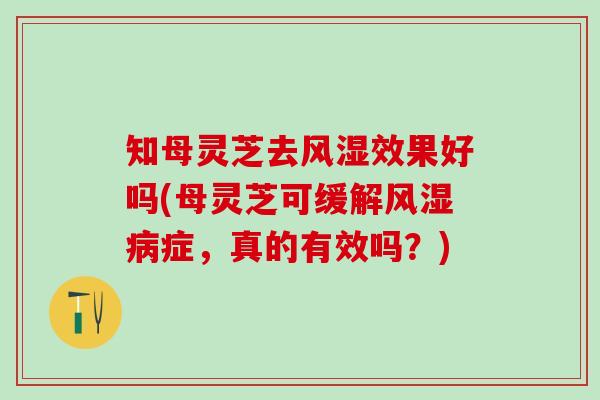 知母灵芝去风湿效果好吗(母灵芝可缓解风湿病症，真的有效吗？)