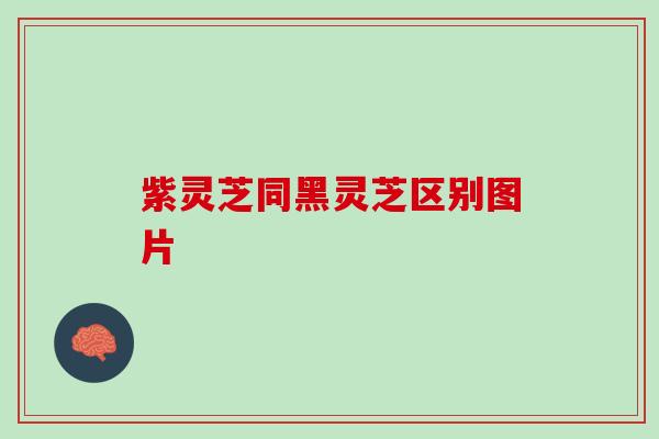 紫灵芝同黑灵芝区别图片
