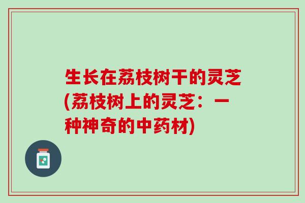 生长在荔枝树干的灵芝(荔枝树上的灵芝：一种神奇的中药材)