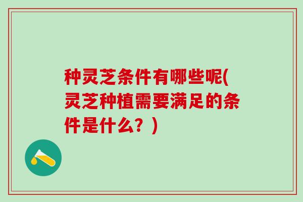 种灵芝条件有哪些呢(灵芝种植需要满足的条件是什么?) 种灵芝条件有哪些呢(灵芝种植需要满足的条件是什么?)