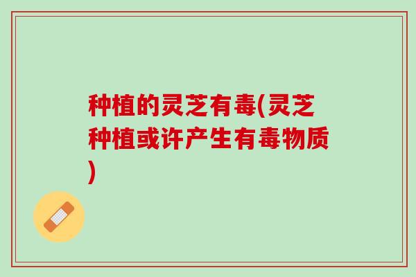 种植的灵芝有毒(灵芝种植或许产生有毒物质)