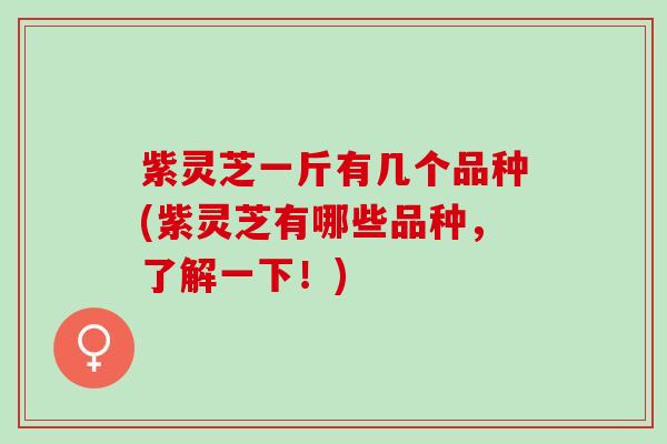 紫灵芝一斤有几个品种(紫灵芝有哪些品种，了解一下！)