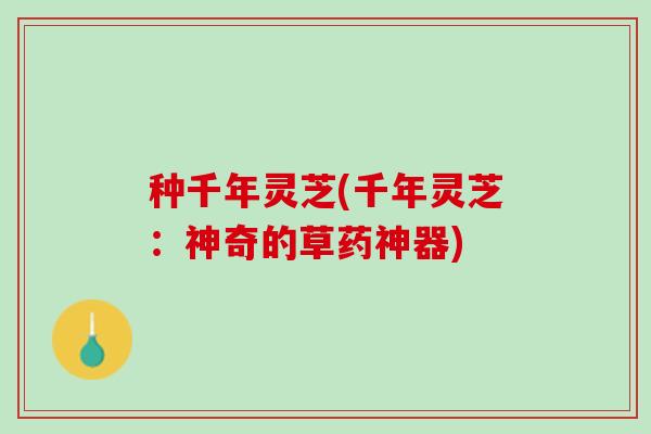 种千年灵芝(千年灵芝：神奇的草药神器)