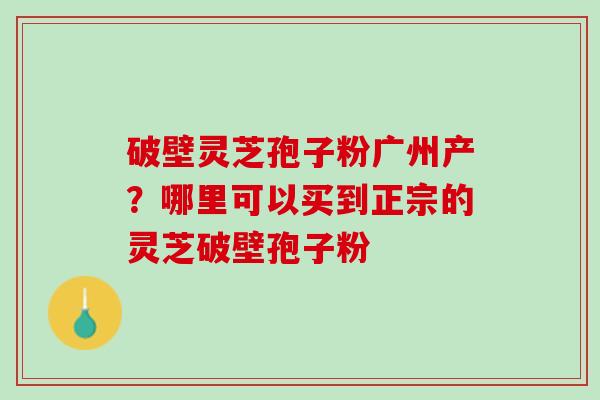 破壁灵芝孢子粉广州产?哪里可以买到正宗的灵芝破壁孢子粉 破壁灵芝孢子粉广州产?哪里可以买到正宗的灵芝破壁孢子粉