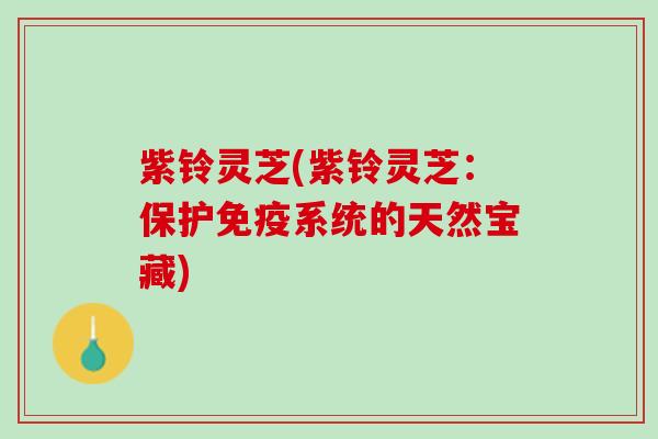 紫铃灵芝(紫铃灵芝:保护免疫系统的天然宝藏) 紫铃灵芝(紫铃灵芝:保护免疫系统的天然宝藏)
