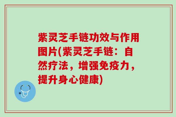 紫灵芝手链功效与作用图片(紫灵芝手链：自然疗法，增强免疫力，提升身心健康)