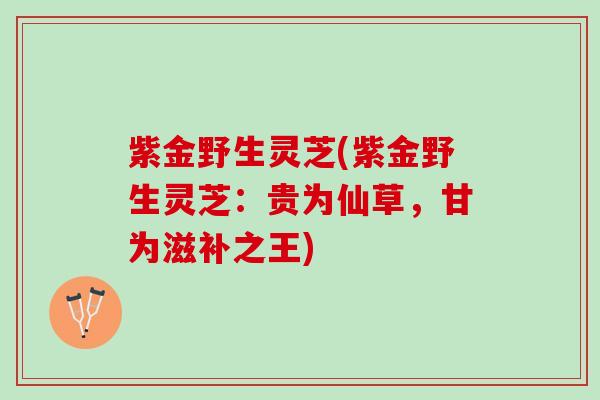 紫金野生灵芝(紫金野生灵芝：贵为仙草，甘为滋补之王)