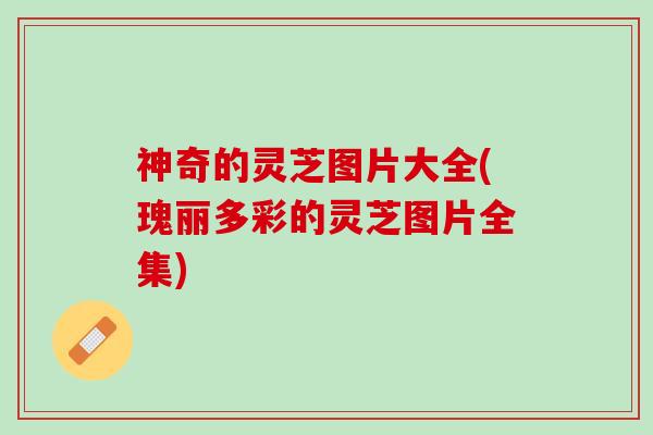 神奇的灵芝图片大全(瑰丽多彩的灵芝图片全集) 神奇的灵芝图片大全(瑰丽多彩的灵芝图片全集)