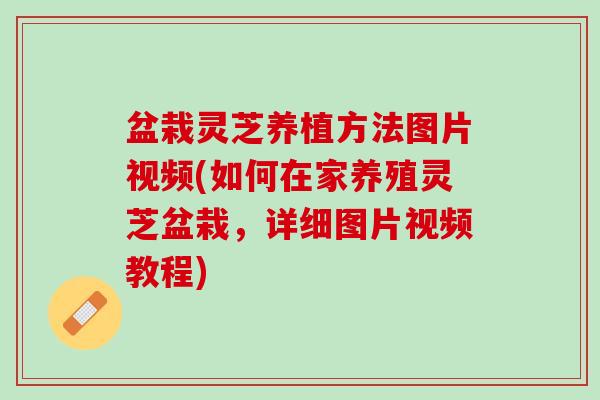 盆栽灵芝养植方法图片视频(如何在家养殖灵芝盆栽，详细图片视频教程)