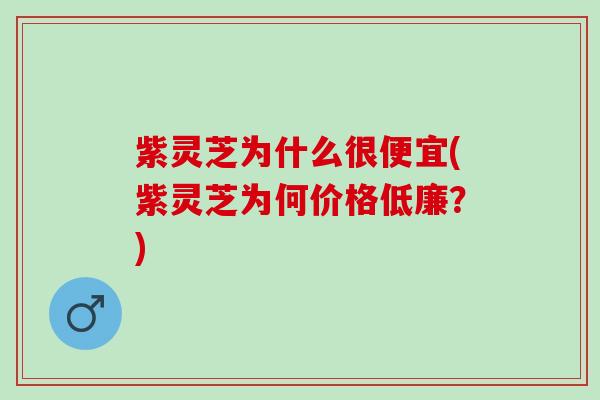 紫灵芝为什么很便宜(紫灵芝为何价格低廉？)