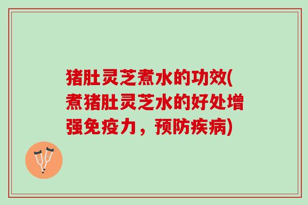猪肚灵芝煮水的功效(煮猪肚灵芝水的好处增强免疫力，预防疾病)