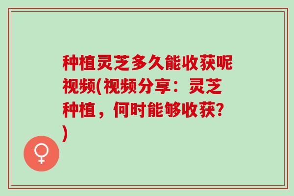 种植灵芝多久能收获呢视频(视频分享：灵芝种植，何时能够收获？)