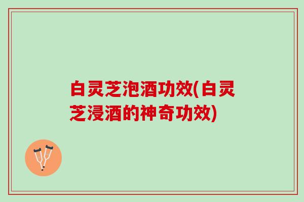 白灵芝泡酒功效(白灵芝浸酒的神奇功效)