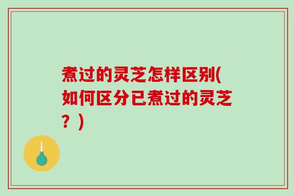 煮过的灵芝怎样区别(如何区分已煮过的灵芝？)