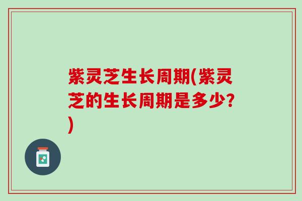 紫灵芝生长周期(紫灵芝的生长周期是多少？)