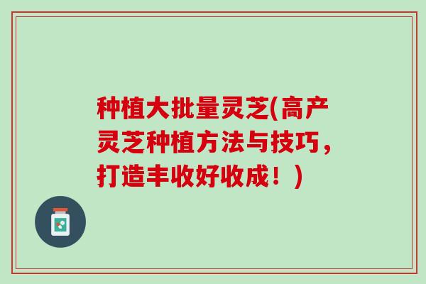 种植大批量灵芝(高产灵芝种植方法与技巧，打造丰收好收成！)