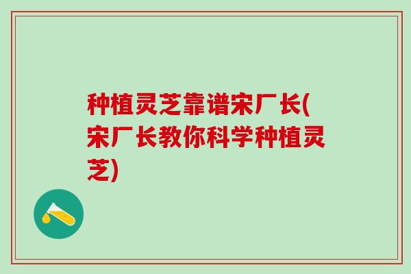 种植灵芝靠谱宋厂长(宋厂长教你科学种植灵芝)