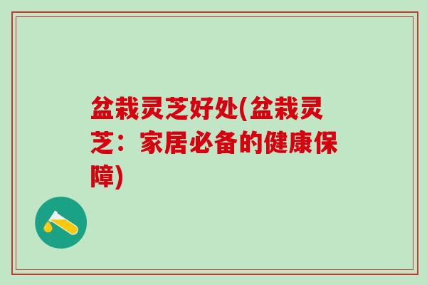 盆栽灵芝好处(盆栽灵芝:家居必备的健康保障) 盆栽灵芝好处(盆栽灵芝:家居必备的健康保障)