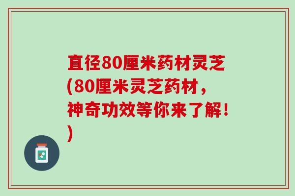 直径80厘米药材灵芝(80厘米灵芝药材,神奇功效等你来了解!) 直径80厘米药材灵芝(80厘米灵芝药材,神奇功效等你来了解!)