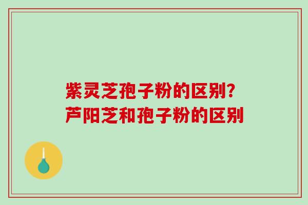 紫灵芝孢子粉的区别?芦阳芝和孢子粉的区别 紫灵芝孢子粉的区别?芦阳芝和孢子粉的区别