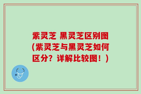 紫灵芝 黑灵芝区别图(紫灵芝与黑灵芝如何区分？详解比较图！)