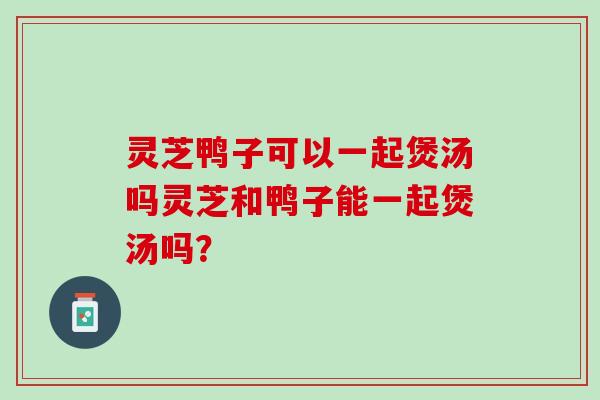 灵芝鸭子可以一起煲汤吗灵芝和鸭子能一起煲汤吗? 灵芝鸭子可以一起煲汤吗灵芝和鸭子能一起煲汤吗?