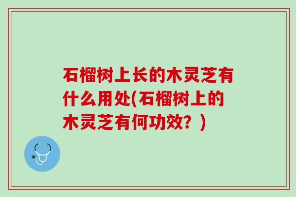 石榴树上长的木灵芝有什么用处(石榴树上的木灵芝有何功效？)