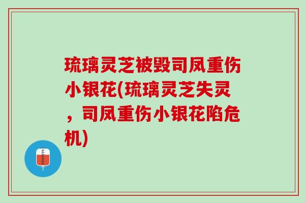 琉璃灵芝被毁司凤重伤小银花(琉璃灵芝失灵，司凤重伤小银花陷危机)