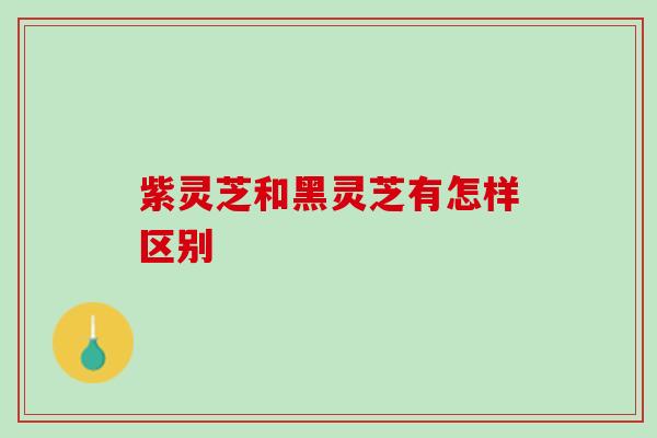 紫灵芝和黑灵芝有怎样区别 紫灵芝和黑灵芝有怎样区别