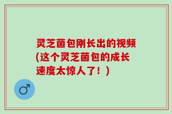 灵芝菌包刚长出的视频(这个灵芝菌包的成长速度太惊人了！)