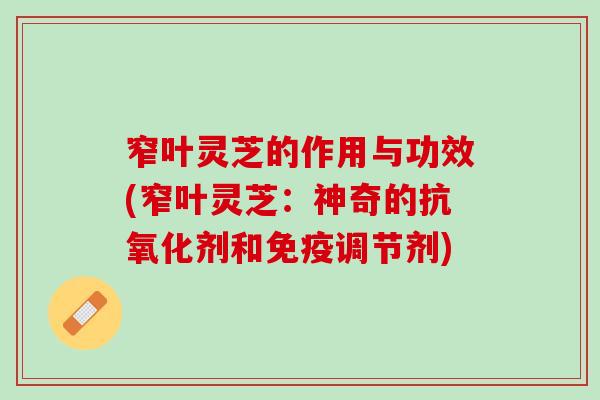窄叶灵芝的作用与功效(窄叶灵芝：神奇的抗氧化剂和免疫调节剂)