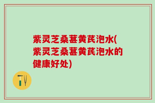 紫灵芝桑葚黄芪泡水(紫灵芝桑葚黄芪泡水的健康好处)