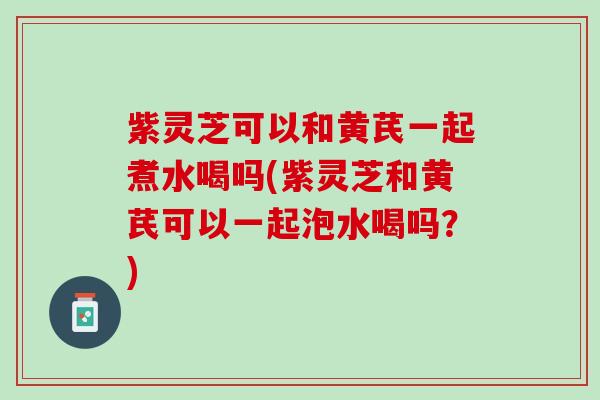 紫灵芝可以和黄芪一起煮水喝吗(紫灵芝和黄芪可以一起泡水喝吗？)