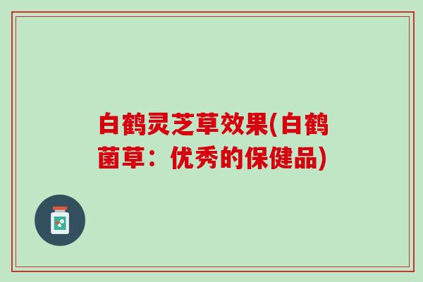 白鹤灵芝草效果(白鹤菌草：优秀的保健品)