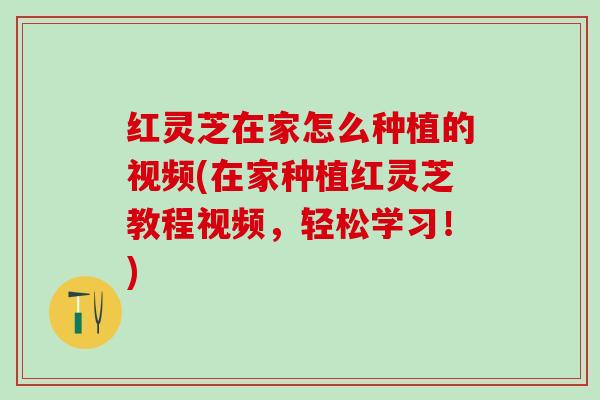 红灵芝在家怎么种植的视频(在家种植红灵芝教程视频，轻松学习！)