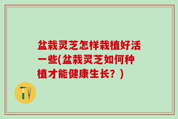 盆栽灵芝怎样栽植好活一些(盆栽灵芝如何种植才能健康生长？)