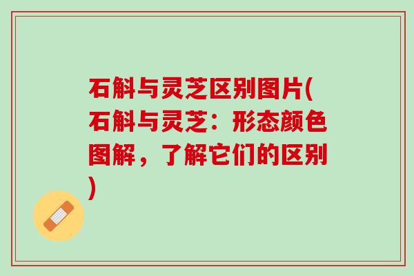 石斛与灵芝区别图片(石斛与灵芝：形态颜色图解，了解它们的区别)